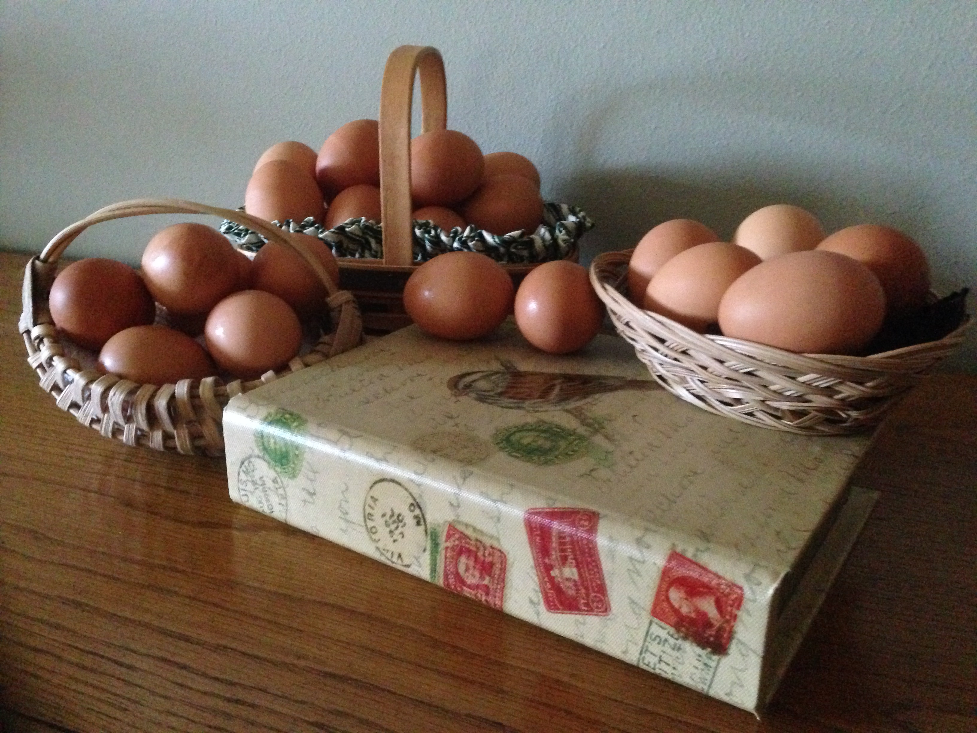 don-t-put-all-your-eggs-in-one-basket-easton-communications